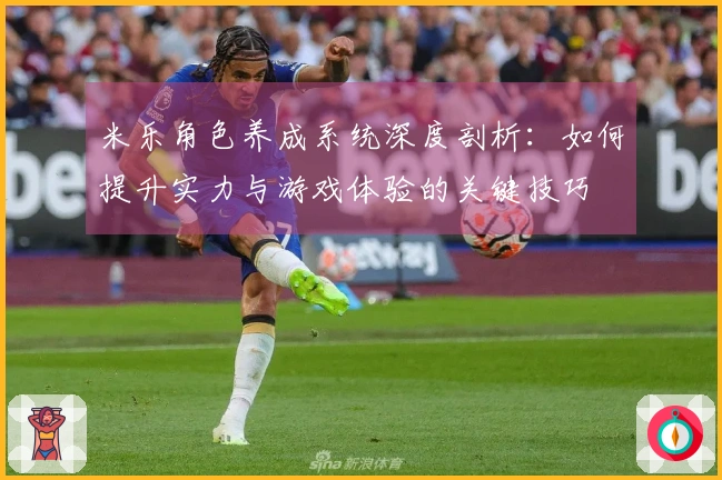 米乐角色养成系统深度剖析：如何提升实力与游戏体验的关键技巧