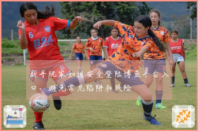 新手玩家如何安全登陆博鱼平台入口，避免常见陷阱和风险