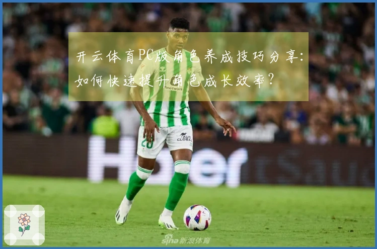 开云体育PC版角色养成技巧分享：如何快速提升角色成长效率？