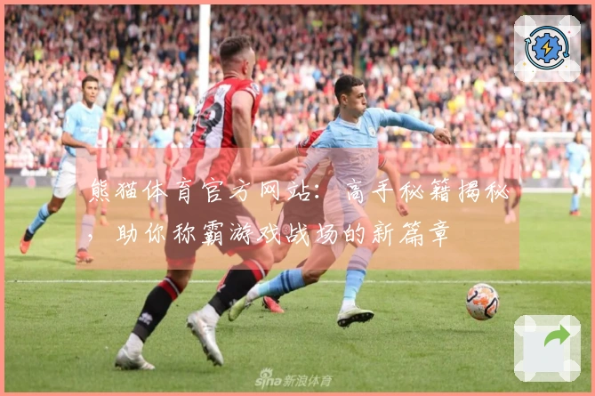 熊猫体育官方网站：高手秘籍揭秘，助你称霸游戏战场的新篇章